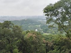 -苏州上方山国家森林公园