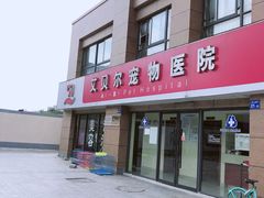 -艾贝尔宠物医院 ·内科全科(梁溪路店)