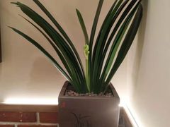 -周家二小姐的菜(丹阳店)