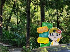 -广州市帽峰山景区