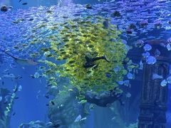 -波塞冬旅游度假区