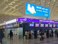 -郑州新郑国际机场-T2航站楼