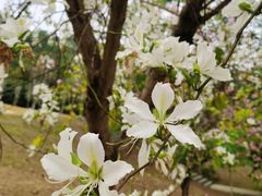 -中国移动南方基地