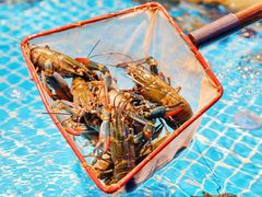 -驻海渔市(置信店)