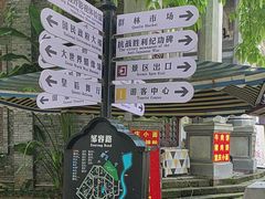 -两江国际影视城