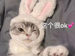 -欢乐牧场(T12店)