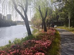-新江湾城公园