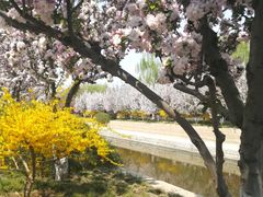 -元大都城垣遗址公园