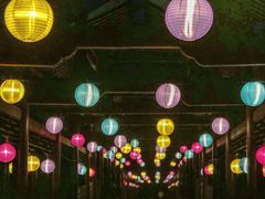-重庆彩云湖湿地公园