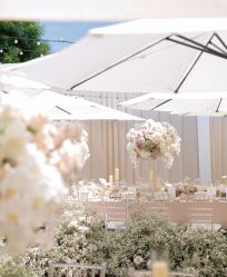 -美薇亭婚礼顾问