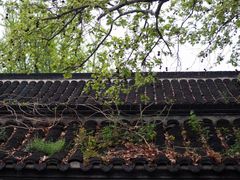 -老门东历史文化街区