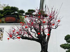 -龙华素斋(龙华路店)