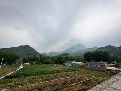 -遥桥古堡