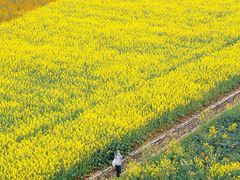 -中国天府农业博览园