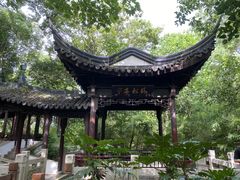 -上海佘山国家森林公园天马山园