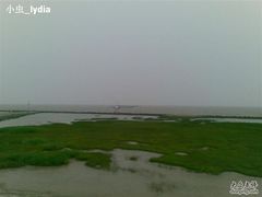 -南汇嘴观海公园