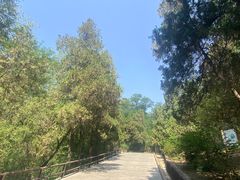 -浮来山风景区