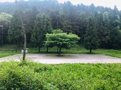 -武陵山森林公园