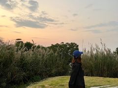 -飞凤山奥体公园