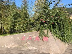 -乌江画廊(彭水苗族土家族自治县)