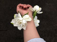 -老字号怡玺·藿香雅鱼(20年雅安店)