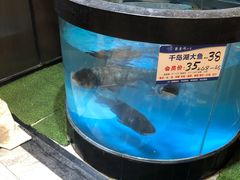 -聚鑫阁江浙菜·非遗传承技艺(青村帝华园店)