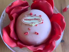 -哈根达斯(武汉天地店)