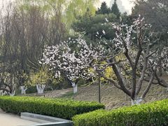 -元大都城垣遗址公园
