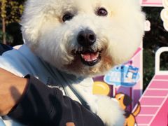 -上海神旺大酒店