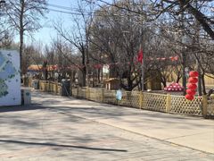 -1982农场