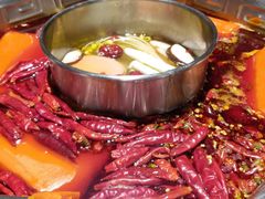 -蜀九香火锅(九眼桥店)