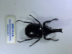 -香港科学馆
