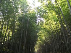 -穹窿山景区