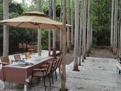 -桉树林A coffee 森林餐厅(三圣乡店)