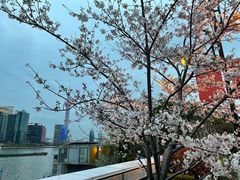 -北外滩滨江绿地