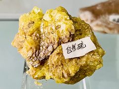 -中国第四纪冰川遗迹陈列馆