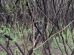 -亲兄弟真人CS团建拓展基地