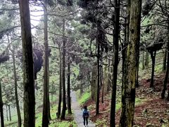 -南岳衡山风景名胜区