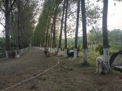 -东郊湿地公园