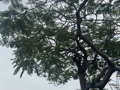 -老船长海鲜大排档(集美店)