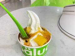 -Salud撒露欧洲冻酸奶(五道口购物中心店)