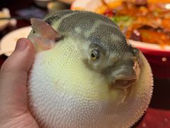 -永安鱼庄·镇江菜(东吴路店)