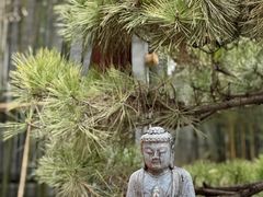 -西安市广仁寺