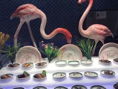 -五月罗马海鲜自助餐厅(陆家嘴店)