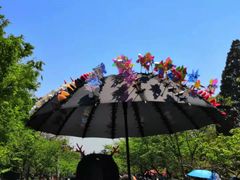 -青岛中山公园-索道售票处