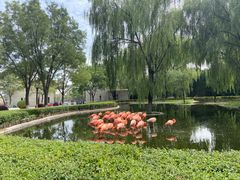 -石家庄市动物园