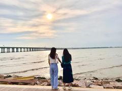 -宝安西湾红树林湿地公园