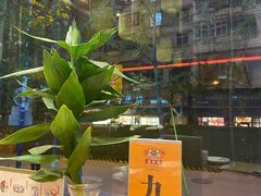 门面-福照楼汽锅鸡·云南菜(护国路店)
