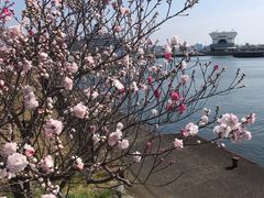 -横滨红砖仓库1号馆