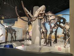 -国家自然博物馆